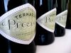 Prosecco &ndash; игристая альтернатива шампанскому